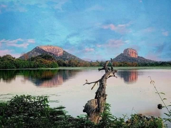 Sigiri Wild Lake Dambulla Eksteriør billede